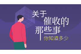 新民为什么选择专业追讨公司来处理您的债务纠纷？